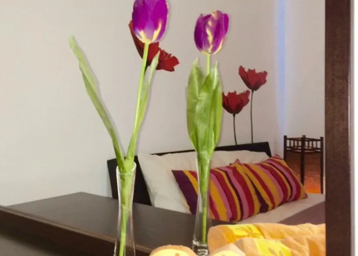 Vila Panorama Luxury Villa *