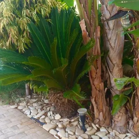 Panorama Luxury Villa * פרוטאראס