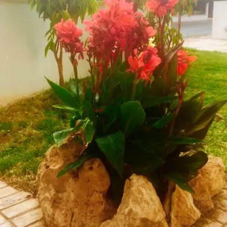 Panorama Luxury Villa *