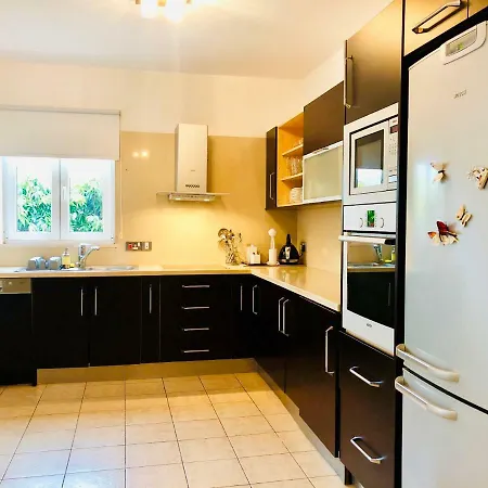 Panorama Luxury Villa וילה פרוטאראס