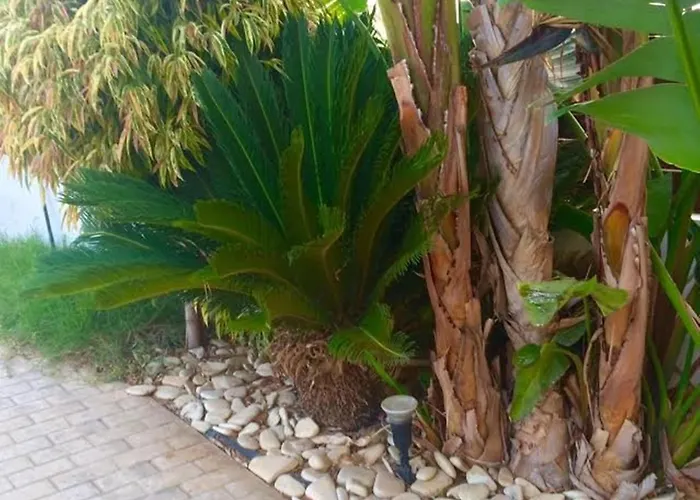 Panorama Luxury Villa * Протарас